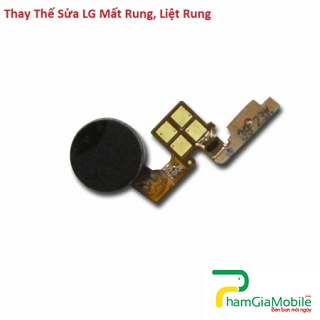 Thay Thế Sửa LG G4 Stylus Mất Rung, Liệt Rung Lấy Liền Tại HCM
